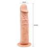 Barbara Calvin 7,8 " Dildo with Suction Cup