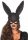 Glitter Masquerade Rabbit Mask Black