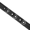 Black Bond Collar with Leash